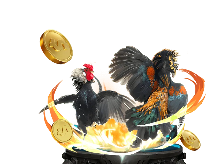 Quyền và trách nhiệm của nền tảng bongvip